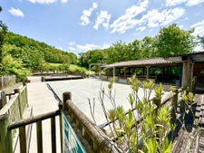 Exclusif et unique Sarlat La Caneda : Ensemble immobilier de 19