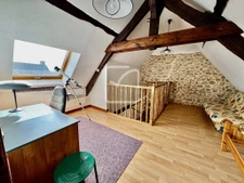 Propriété de caractère avec piscine intérieure  15