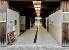 Propriété Équestre d'Exception aux Portes de Brive -Stephane 13