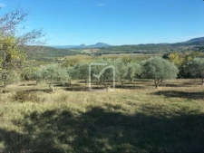 TERRAIN ZONE NATURELLE St maximin la ste baume (83470) 1