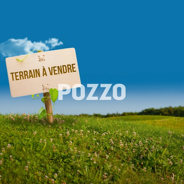 Terrain