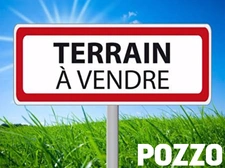 Terrain