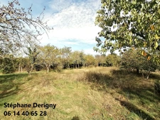 TRES RARE DANS UN CADRE EXCEPTIONNEL