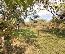 TRES RARE DANS UN CADRE EXCEPTIONNEL