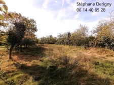 TRES RARE DANS UN CADRE EXCEPTIONNEL