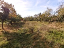 TRES RARE DANS UN CADRE EXCEPTIONNEL