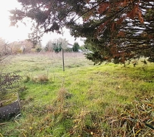 DERNIER TERRAIN CONSTRUCTIBLE