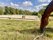 Maison à vendre - Réf 86013633 95000 Pontoise