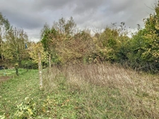 A SAISIR SANS TARDER 