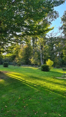 A SAISIR SANS TARDER 