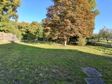 UNIQUEMENT CHEZ NOOVIMO