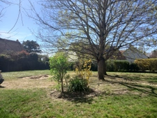 A SAISIR SANS TARDER 