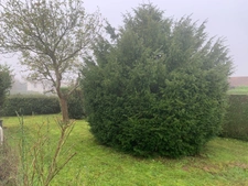 Maison de plain-pied 90 M2 sur parcelle de 586 M2 